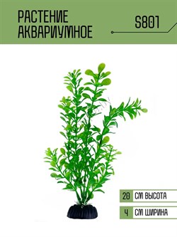 Купить Искусственное растение для аквариума S3801 ZooAqua, 20 см, керамика и пластик