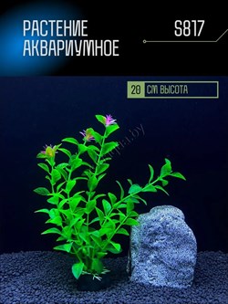 Купить Искусственное растение для аквариума S817 ZooAqua, 20 см, керамика и пластик
