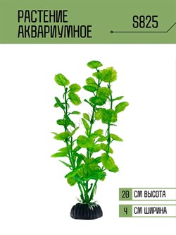 Купить Искусственное растение для аквариума S825 ZooAqua, 20 см, керамика и пластик