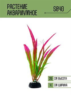 Купить Искусственное растение для аквариума S840 ZooAqua, 20 см, керамика и пластик