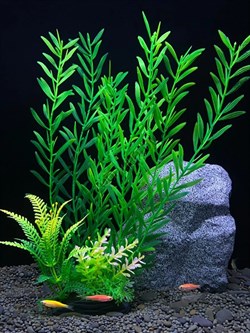 Купить Искусственное растение для аквариума ZooAqua C-1155 8x5x28 см, пластик и керамика