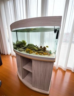 Аквариум Aqua "телик" на 180 л с Led освещением и тумбой - фото 48391