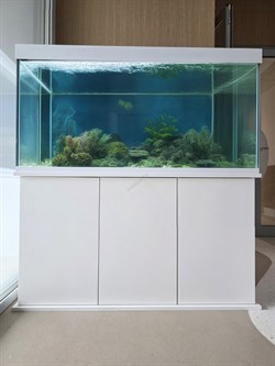Аквариум Aqua Прямоугольник на 250 л. с тумбой - фото 48397