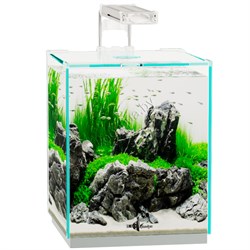 Купить Аквариум Biodesign Q-Scape Opti 10, 10 л, 22×22×26 см, стекло Pilkington Optiwhite™, 4 мм