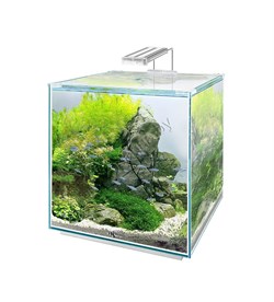 Купить Аквариум Biodesign Q-Scape Opti 22,5, 22,5 л, 29×29×33 см, стекло Pilkington Optiwhite™, 4 мм