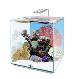 Купить Аквариум Biodesign Q-Scape Opti 35, 35 л, 33×33×38 см, стекло Pilkington Optiwhite™, 4 мм