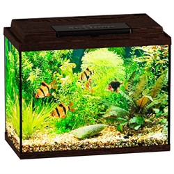 Купить Аквариум Biodesign Классик 20, силикатное стекло Pilkington Optifloat™, 4 мм, 22 л, 40х22х33 см, LED светильник, венге