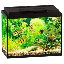 Купить Аквариум Biodesign Классик 20, силикатное стекло Pilkington Optifloat™, 4 мм, 22 л, 40х22х33 см, LED светильник, черный