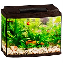 Купить Аквариум Biodesign Классик 20R, силикатное стекло Pilkington Optifloat™, 4 мм, 21 л, 40х22х33 см, LED светильник, венге