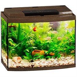 Купить Аквариум Biodesign Классик 20R, силикатное стекло Pilkington Optifloat™, 4 мм, 21 л, 40х22х33 см, LED светильник, золотой орех