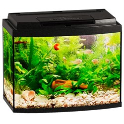 Купить Аквариум Biodesign Классик 20R, силикатное стекло Pilkington Optifloat™, 4 мм, 21 л, 40х22х33 см, LED светильник, черный