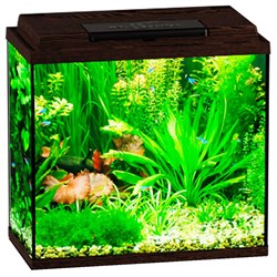 Купить Аквариум Biodesign Классик 30, силикатное стекло Pilkington Optifloat™, 4 мм, 28 л, 40х22х39 см, LED светильник, венге