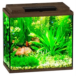 Купить Аквариум Biodesign Классик 30, силикатное стекло Pilkington Optifloat™, 4 мм, 28 л, 40х22х39 см, LED светильник, золотой орех
