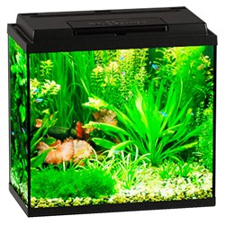 Купить Аквариум Biodesign Классик 30, силикатное стекло Pilkington Optifloat™, 4 мм, 28 л, 40х22х39 см, LED светильник, черный