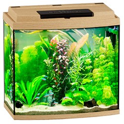 Купить Аквариум Biodesign Классик 30R, силикатное стекло Pilkington Optifloat™, 4 мм, 27 л, 40х22х39 см, LED светильник, бук