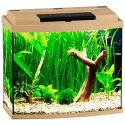 Купить Аквариум Biodesign Классик 40R, силикатное стекло Pilkington Optifloat™, 4 мм, 38 л, 45х25х42 см, LED светильник, бук