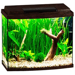 Купить Аквариум Biodesign Классик 40R, силикатное стекло Pilkington Optifloat™, 4 мм, 38 л, 45х25х42 см, LED светильник, венге