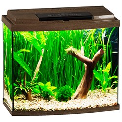 Купить Аквариум Biodesign Классик 40R, силикатное стекло Pilkington Optifloat™, 4 мм, 38 л, 45х25х42 см, LED светильник, золотой орех