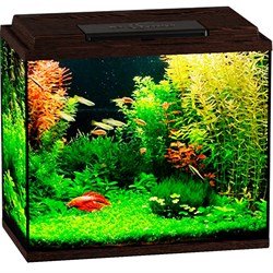 Купить Аквариум Biodesign Классик 50, силикатное стекло Pilkington Optifloat™, 4 мм, 55 л, 50х29х45 см, LED светильник, венге