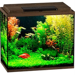 Купить Аквариум Biodesign Классик 50, силикатное стекло Pilkington Optifloat™, 4 мм, 55 л, 50х29х45 см, LED светильник, золотой орех