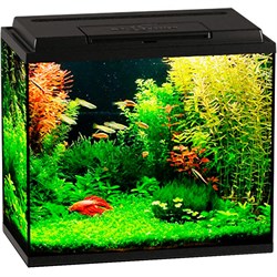 Купить Аквариум Biodesign Классик 50, силикатное стекло Pilkington Optifloat™, 4 мм, 55 л, 50х29х45 см, LED светильник, черный
