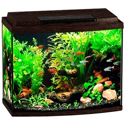 Купить Аквариум Biodesign Классик 50R, силикатное стекло Pilkington Optifloat™, 4 мм, 53 л, 50х29х45 см, LED светильник, венге