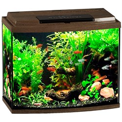 Купить Аквариум Biodesign Классик 50R, силикатное стекло Pilkington Optifloat™, 4 мм, 53 л, 50х29х45 см, LED светильник, золотой орех