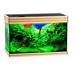 Купить Аквариум Biodesign Altum 135, силикатное стекло Pilkington Optifloat™, 6 мм, 135 л, 81x38x53 см, шторка для автокормушки, бук
