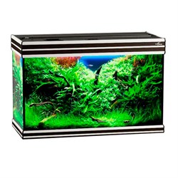 Купить Аквариум Biodesign Altum 135, силикатное стекло Pilkington Optifloat™, 6 мм, 135 л, 81x38x53 см, шторка для автокормушки, венге