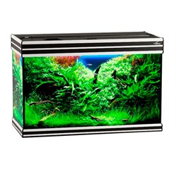 Купить Аквариум Biodesign Altum 135, силикатное стекло Pilkington Optifloat™, 6 мм, 135 л, 81x38x53 см, шторка для автокормушки, черный
