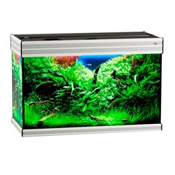 Купить Аквариум Biodesign Altum 135, силикатное стекло Pilkington Optifloat™, 6 мм, 135 л, 81x38x53 см, шторка для автокормушки, серебряный