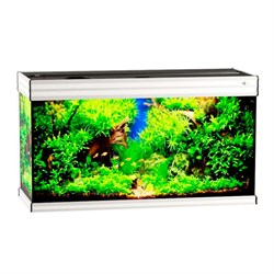 Купить Аквариум Biodesign Altum 200, силикатное стекло Pilkington Optifloat™, 6-8 мм, 200 л, 101x41x57 см, шторка для автокормушки, белый