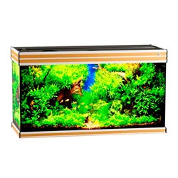 Купить Аквариум Biodesign Altum 200, силикатное стекло Pilkington Optifloat™, 6-8 мм, 200 л, 101x41x57 см, шторка для автокормушки, бук
