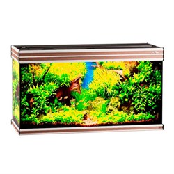 Купить Аквариум Biodesign Altum 200, силикатное стекло Pilkington Optifloat™, 6-8 мм, 200 л, 101x41x57 см, шторка для автокормушки, ясень шимо