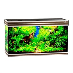 Купить Аквариум Biodesign Altum 200, силикатное стекло Pilkington Optifloat™, 6-8 мм, 200 л, 101x41x57 см, шторка для автокормушки, золотой орех