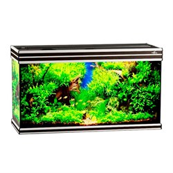 Купить Аквариум Biodesign Altum 200, силикатное стекло Pilkington Optifloat™, 6-8 мм, 200 л, 101x41x57 см, шторка для автокормушки, венге