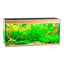 Купить Аквариум Biodesign Altum 300, силикатное стекло Pilkington Optifloat™, 8–10 мм, 300 л, 126x46x60 см, шторка для автокормушки, бук