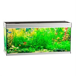 Купить Аквариум Biodesign Altum 300, силикатное стекло Pilkington Optifloat™, 8–10 мм, 300 л, 126x46x60 см, шторка для автокормушки, серебряный