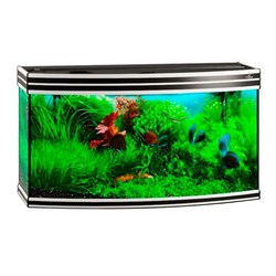 Купить Аквариум Biodesign Altum Panoramic 200, силикатное стекло Pilkington Optifloat™, 6-8 мм, 200 л, 101x46x57 см, шторка для автокормушки, черный