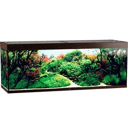 Купить Аквариум Biodesign Атолл 1000, силикатное стекло Pilkington Optifloat™, 10-12 мм, 825 л, 201x66x76 см, шторка для автокормушки, венге