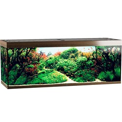 Купить Аквариум Biodesign Атолл 1000, силикатное стекло Pilkington Optifloat™, 10-12 мм, 825 л, 201x66x76 см, шторка для автокормушки, золотой орех