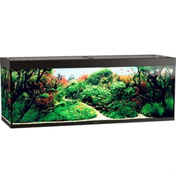 Купить Аквариум Biodesign Атолл 1000, силикатное стекло Pilkington Optifloat™, 10-12 мм, 825 л, 201x66x76 см, шторка для автокормушки, черный