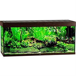 Купить Аквариум Biodesign Атолл 500, силикатное стекло Pilkington Optifloat™, 10-12 мм, 465 л, 151x56x68 см, шторка для автокормушки, венге