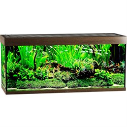 Купить Аквариум Biodesign Атолл 500, силикатное стекло Pilkington Optifloat™, 10-12 мм, 465 л, 151x56x68 см, шторка для автокормушки, золотой орех
