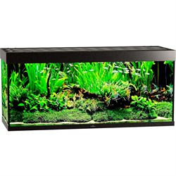 Купить Аквариум Biodesign Атолл 500, силикатное стекло Pilkington Optifloat™, 10-12 мм, 465 л, 151x56x68 см, шторка для автокормушки, черный