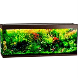 Купить Аквариум Biodesign Атолл 700, силикатное стекло Pilkington Optifloat™, 10-12 мм, 670 л, 181x61x75 см, шторка для автокормушки, венге