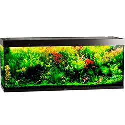 Купить Аквариум Biodesign Атолл 700, силикатное стекло Pilkington Optifloat™, 10-12 мм, 670 л, 181x61x75 см, шторка для автокормушки, черный