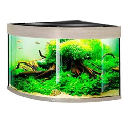 Купить Аквариум Biodesign Диарама 150, силикатное стекло Pilkington Optifloat™, 5-6 мм, 130 л, 63x63x52 см, шторка для автокормушки, белёный дуб