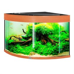 Купить Аквариум Biodesign Диарама 150, силикатное стекло Pilkington Optifloat™, 5-6 мм, 130 л, 63x63x52 см, шторка для автокормушки, бук