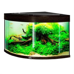 Купить Аквариум Biodesign Диарама 150, силикатное стекло Pilkington Optifloat™, 5-6 мм, 130 л, 63x63x52 см, шторка для автокормушки, венге